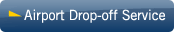 Airport Drop-Off Service